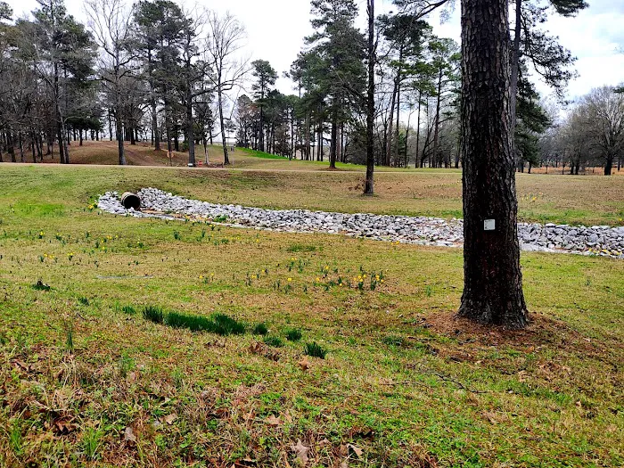 Lake Sardis Campground Picture 4