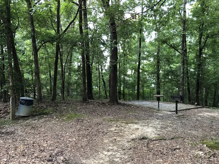 CLEAR CREEK (MS) (recgovnpsdata) Picture 4