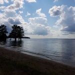 CLEAR CREEK (MS) (recgovnpsdata)