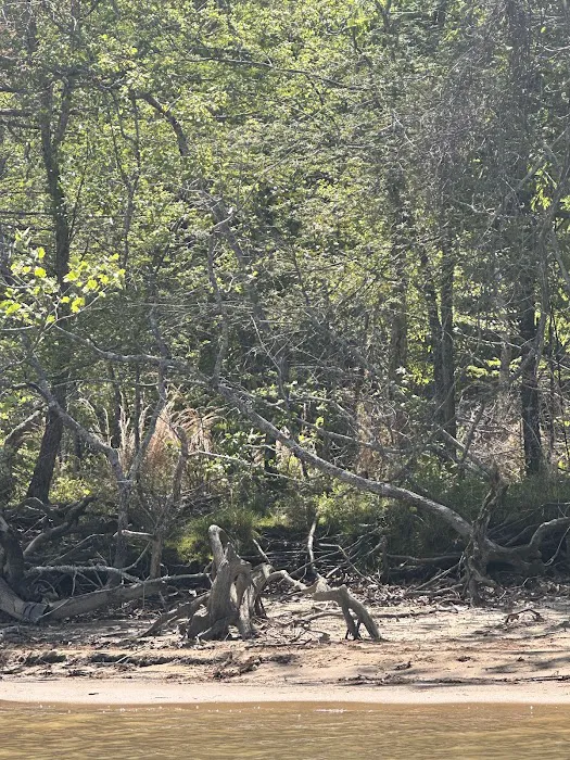 John Kyle State Park Campground Picture 6