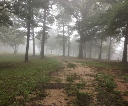 Alley Cat's Campground & RV Park