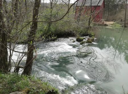 Alley Spring Campground