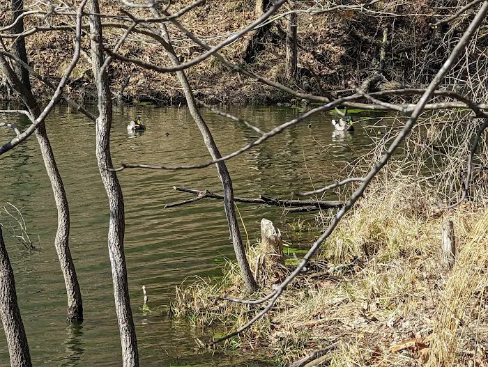 Missouri Bluffs Park Picture 9