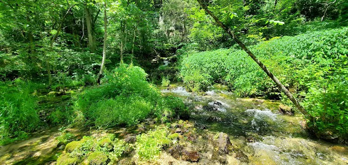 Turner Mill South Campground Picture 5