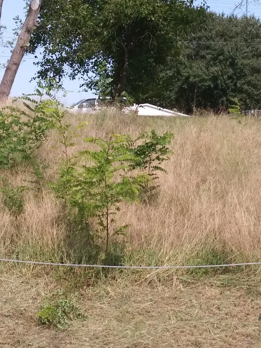 Countryside Estates MHP Picture 2