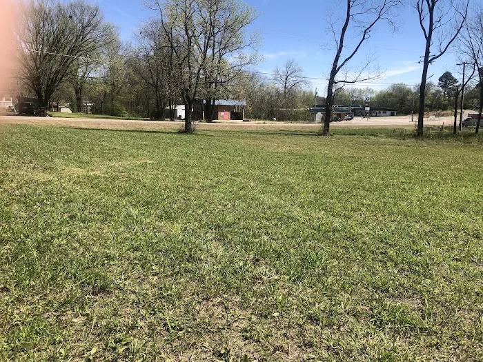 SpringRiver Camping Ravenden Picture 1