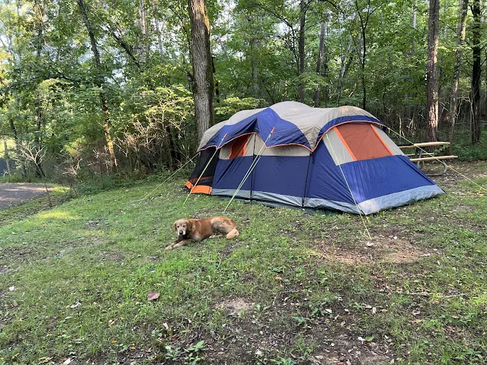 McCormack Lake Campground Picture 8