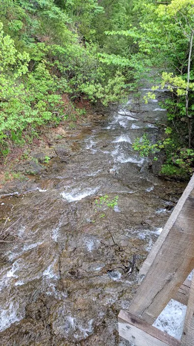McCormack Lake Campground Picture 9