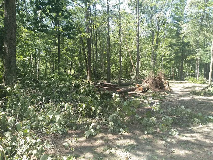 Oconto County Park Campground Picture 3