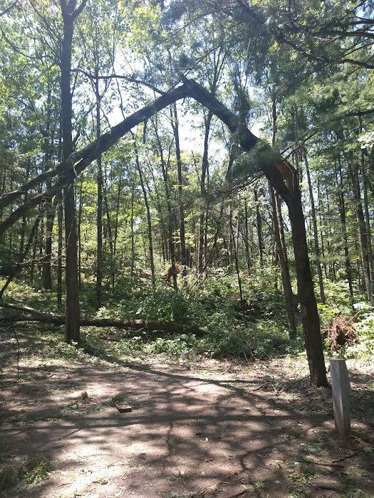 Oconto County Park Campground Picture 1