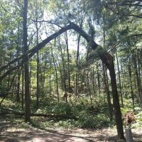 Oconto County Park Campground ico