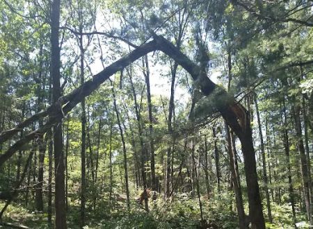 Oconto County Park Campground