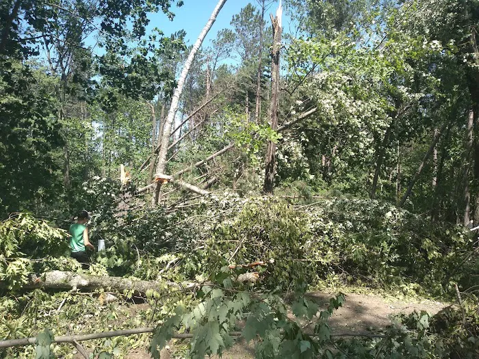 Oconto County Park Campground Picture 6