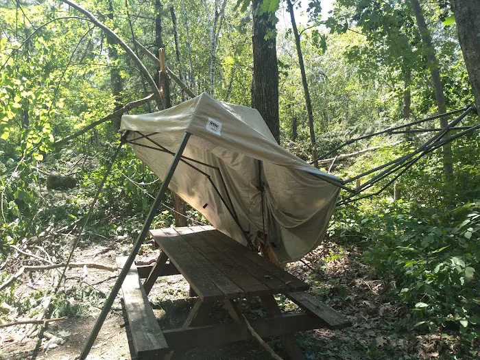 Oconto County Park Campground Picture 7