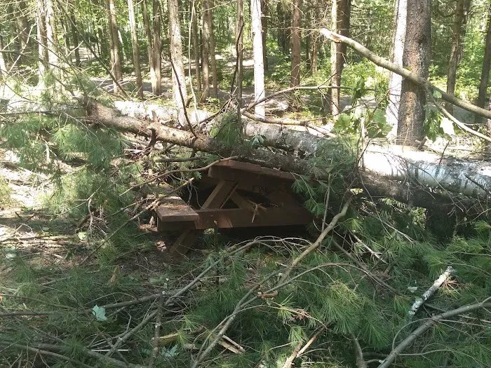 Oconto County Park Campground Picture 8