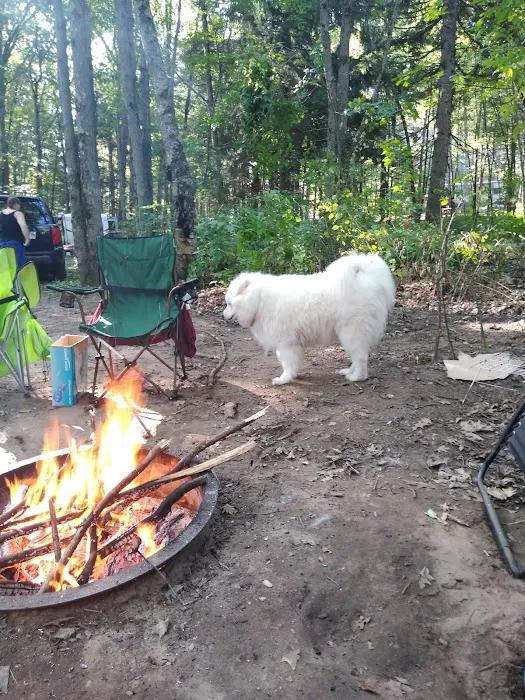 Oconto County Park Campground Picture 10