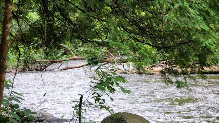 Bagley Rapids Campground Picture 7