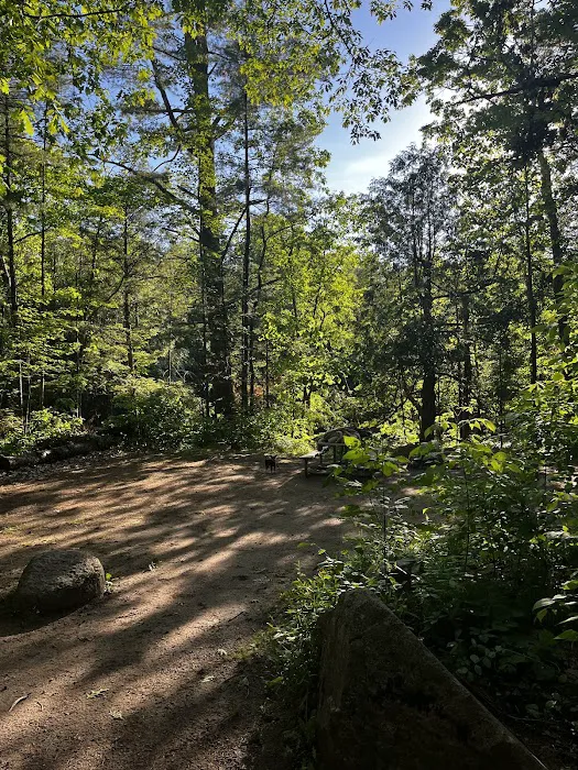Bagley Rapids Campground Picture 10
