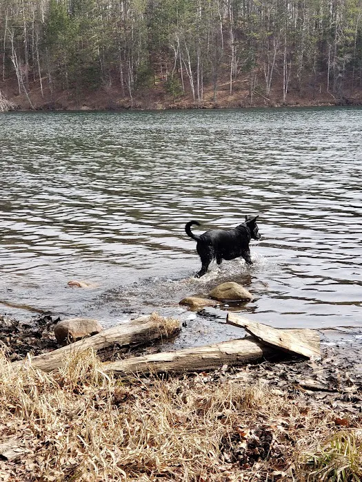 Boot Lake Campground Picture 4