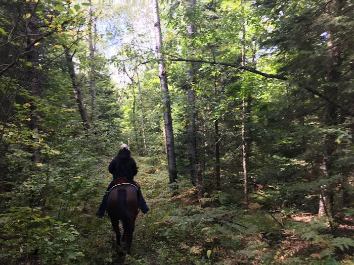 Popple Ridge Horse Campground Picture 5