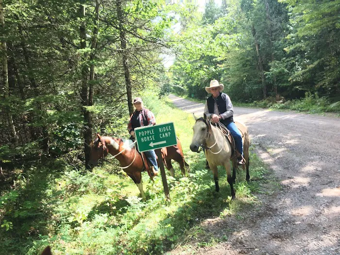Popple Ridge Horse Campground Picture 3