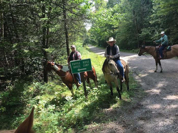 Popple Ridge Horse Campground Picture 4