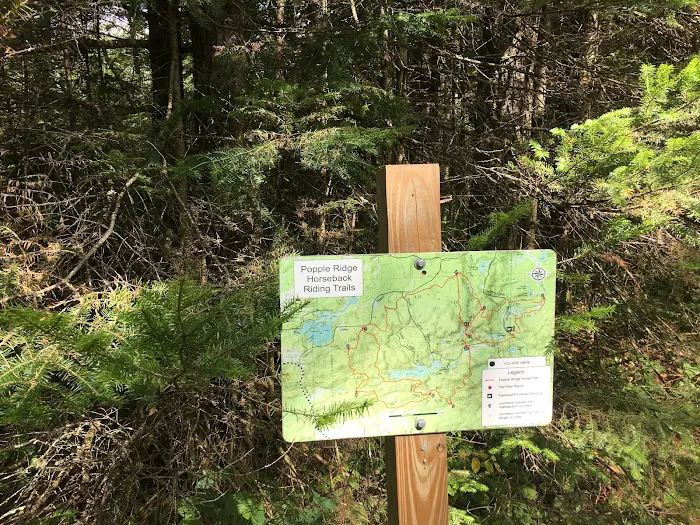Popple Ridge Horse Campground Picture 7