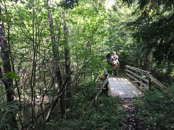 Popple Ridge Horse Campground Picture 6