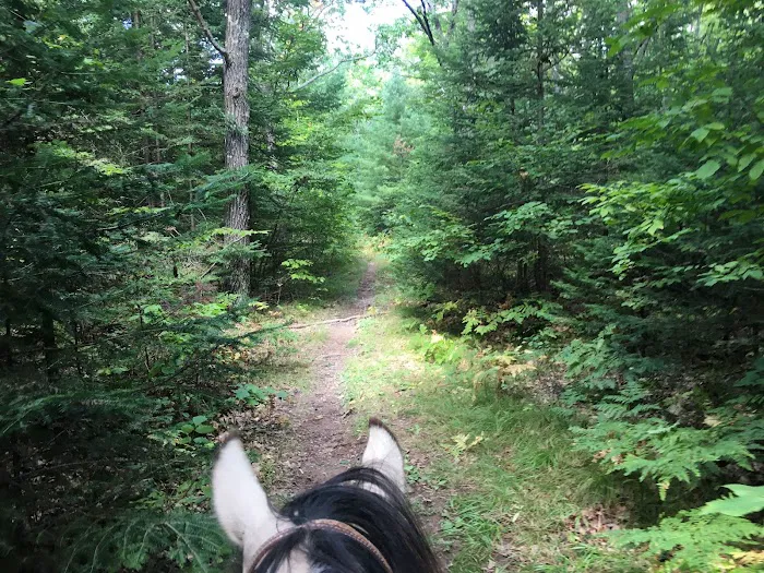 Popple Ridge Horse Campground Picture 8