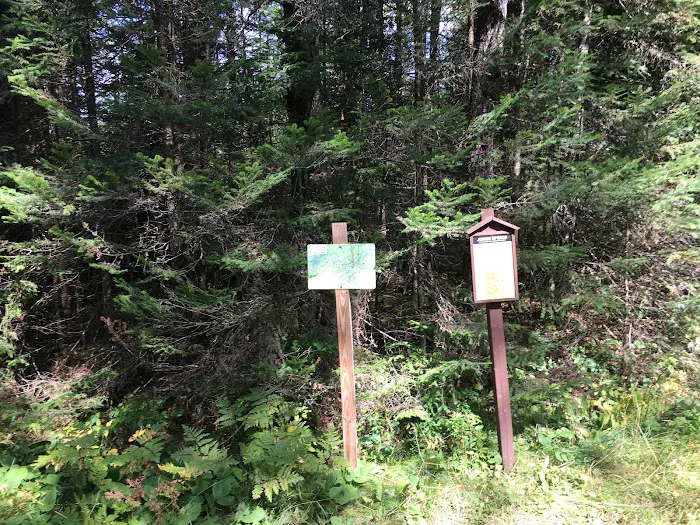 Popple Ridge Horse Campground Picture 10