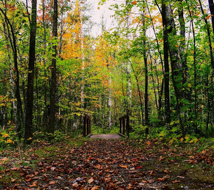 Ada Lake Campground Picture 4
