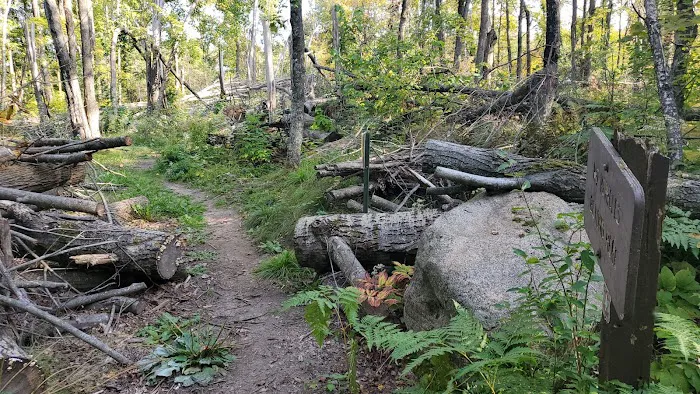 Jessie Lake Campsite Picture 1