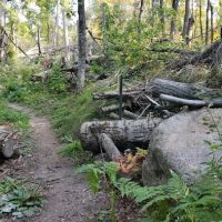 Jessie Lake Campsite ico