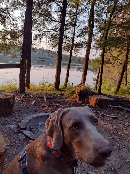 Jessie Lake Campsite Picture 2