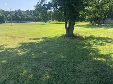 East Basin Campground Picture 4