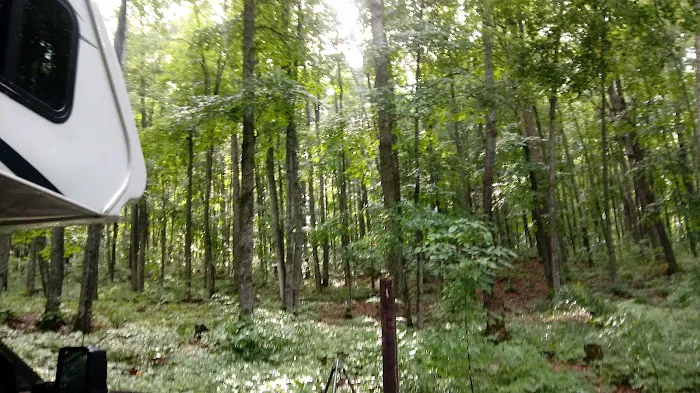 Stevens Lake Campground Picture 6