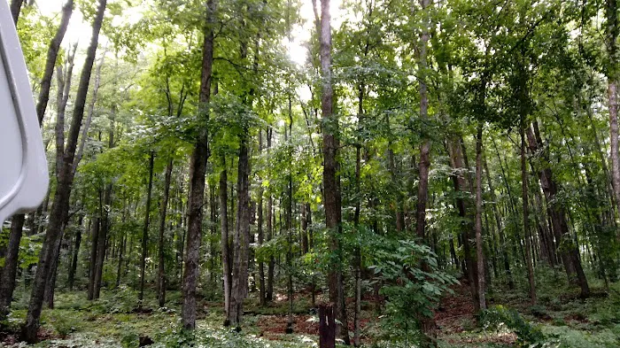 Stevens Lake Campground Picture 5