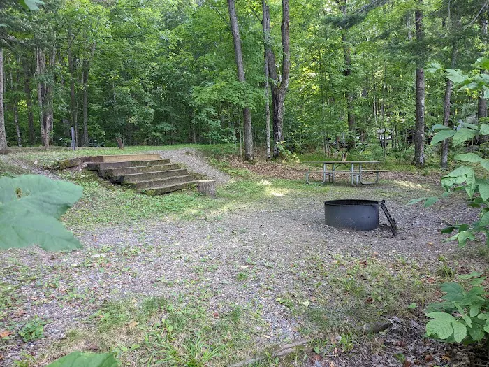 Stevens Lake Campground Picture 8