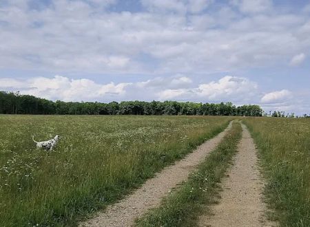 Crandon Country Camping - Hilltop Meadow