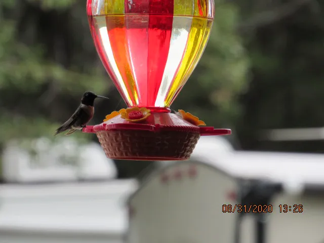 Route 82 RV Park Picture 9