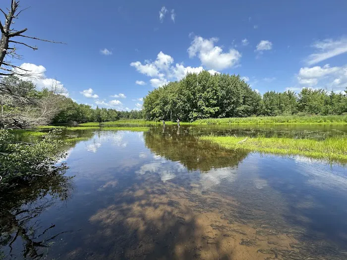 Perch Lake Campground Picture 4