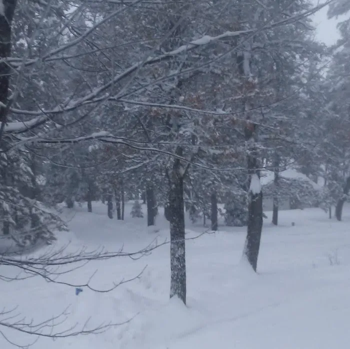 Oakridge Campgrounds Picture 9