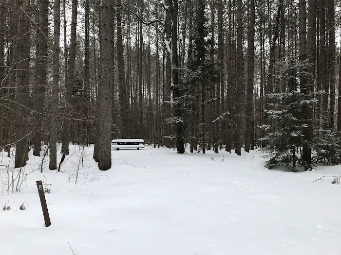 Windsor Dam Campground Picture 2