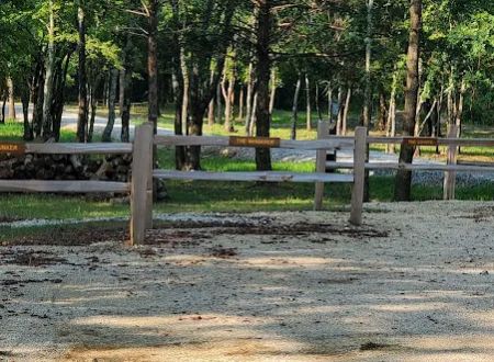 Hidden Forest Lake (RV Park Model Extended Stay RV Park)