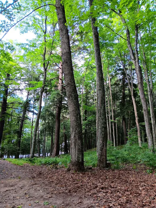 Lake Ottawa Recreation Area Picture 9