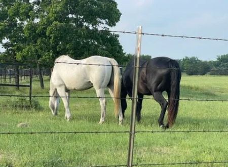 Nature Trails Staycation (RV Park)