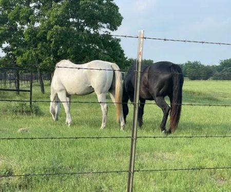Nature Trails Staycation (RV Park)