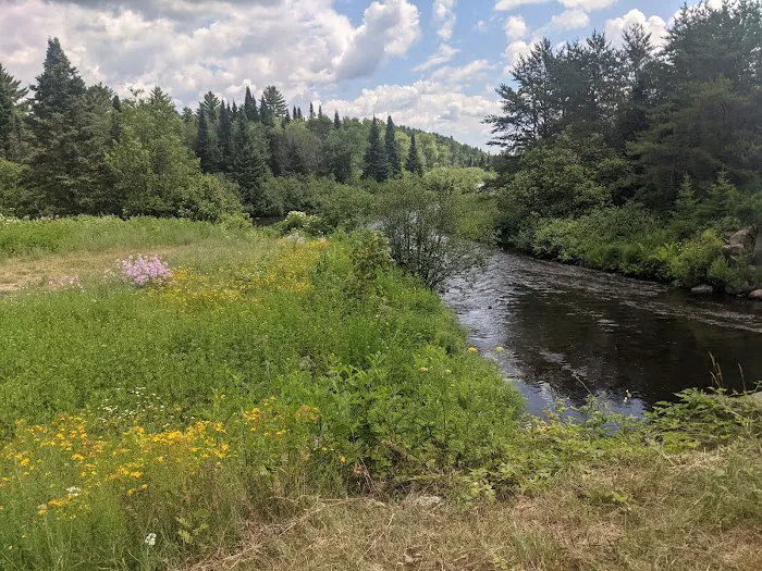 Paint River Forks Campground Picture 2