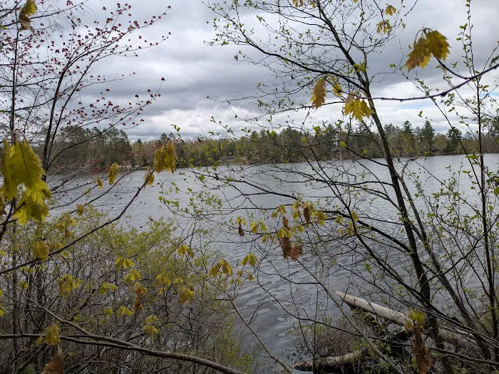 Anderson Lake West State Forest Campground Picture 2