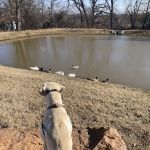 Travel Time RV Campground